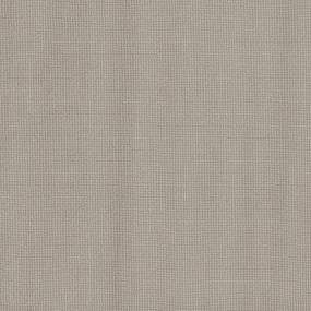 Cadence Swatch