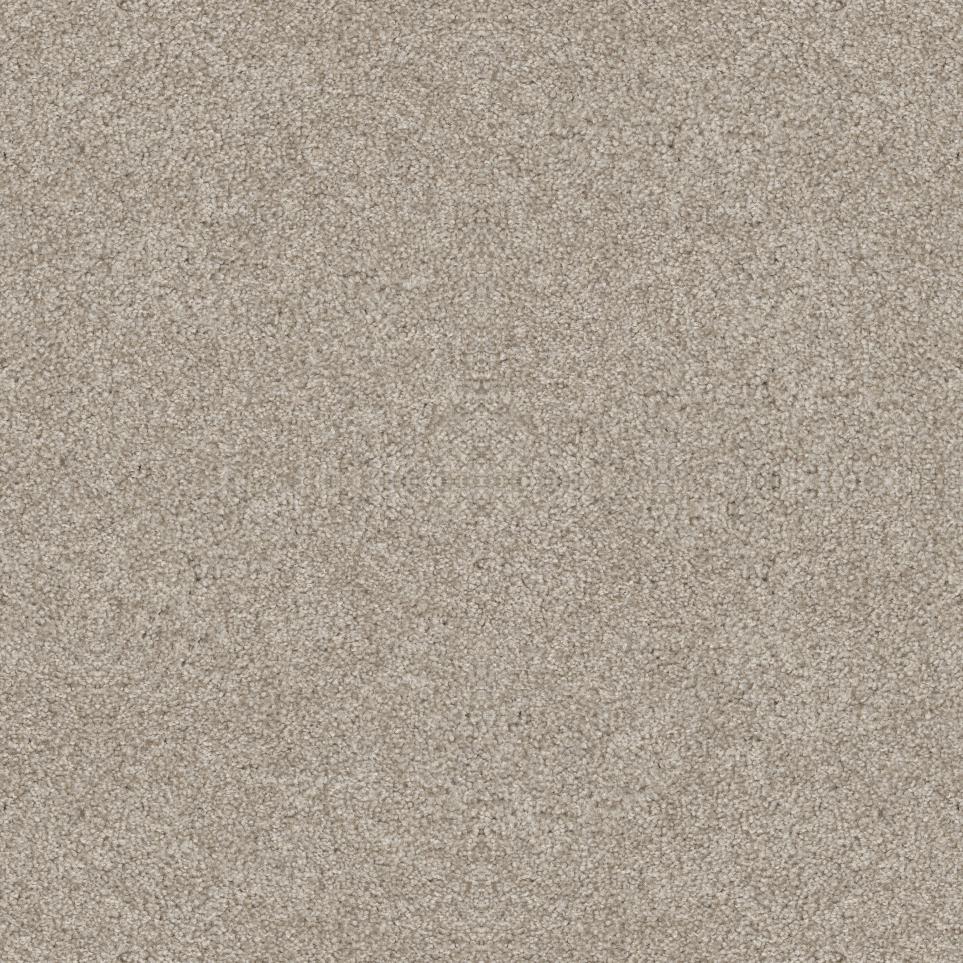 Chinchilla Swatch