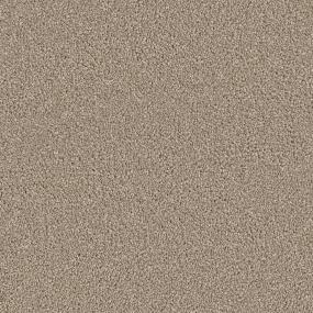Desert Trail Zoomed Swatch