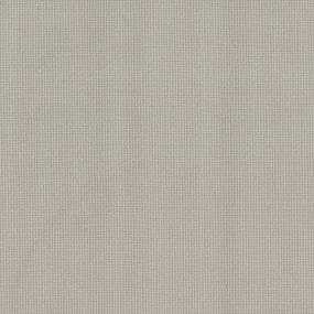 Banyan Swatch