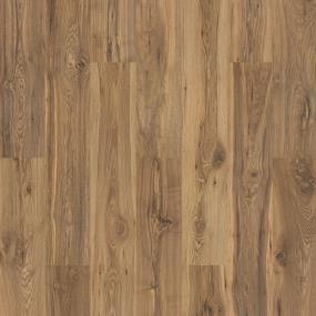 Albany Grove - Southern Pecan Swatch