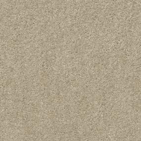 Daydream Swatch