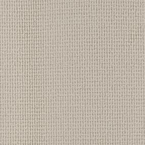 Gentle Fawn Zoomed Swatch