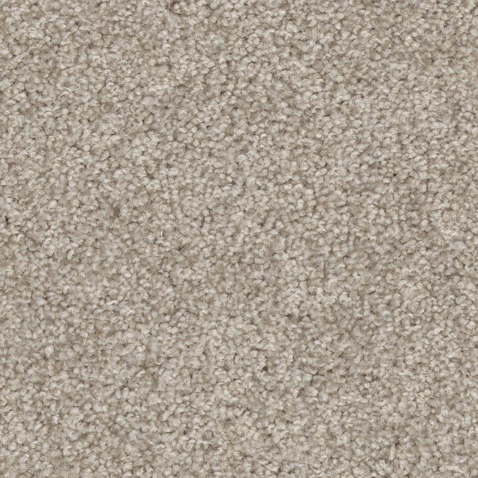 Chinchilla Zoomed Swatch
