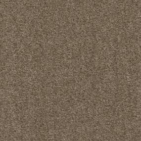 Earth Spice Swatch