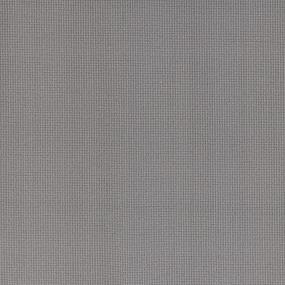 Trademark Swatch