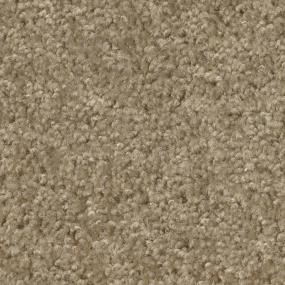 Utah Buff Zoomed Swatch