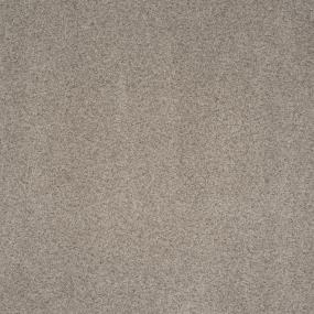 Fashionable Gray Swatch