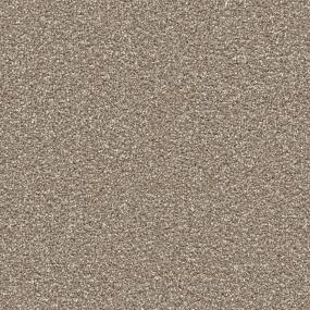 Precision Zoomed Swatch