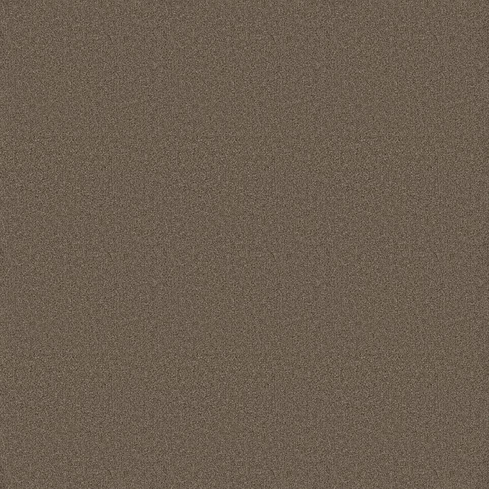 Mocha Swatch