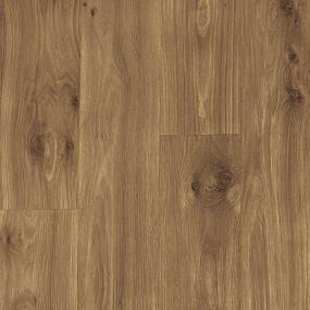Mustang Brown Zoomed Swatch