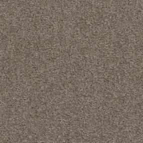 French Roast Swatch