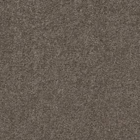 Cocoa Swatch